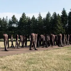 Rzeźby Nierozpoznani Magdaleny Abakanowicz: Tajemnice i znaczenie w Poznaniu