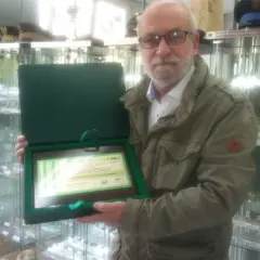 Muzeum miniaturowej sztuki profesjonalnej Henryka Jana Dominiaka - historia i wystawy