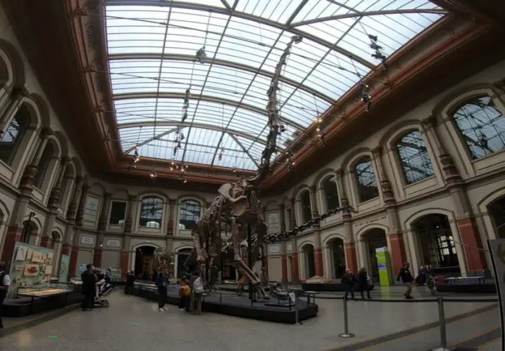 Muzeum Sztuki Naturalnej w Berlinie: co warto wiedzieć przed wizytą?