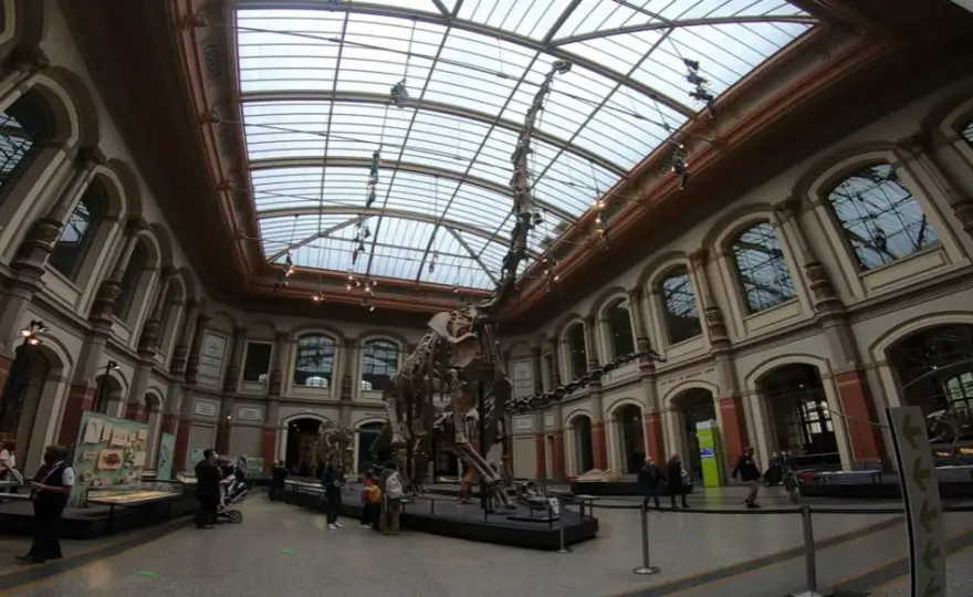 Muzeum Sztuki Naturalnej w Berlinie: co warto wiedzieć przed wizytą?